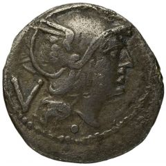 Quinarius Anonymous, ROMA