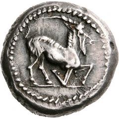 Drachm