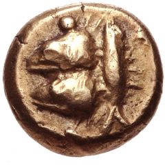 Hemihekte
