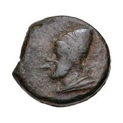 1 Quartuncia