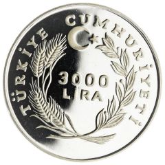 3000 Lira Scouts