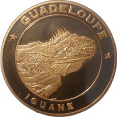 Zoo de Guadeloupe - iguane