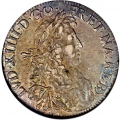 Ecu of Bearn with juvenile bust - Louis XIV