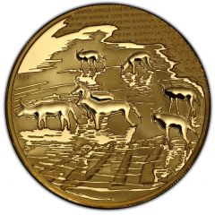 100 Rand - 1 Ounce Natura - African Painted Wolf