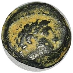 Prutah - Demetrius II Tyre