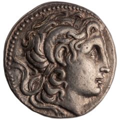 Tetradrachm - Lysimachus Amphipolis