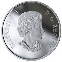 3 Dollars - Elizabeth II Rose Blossoms