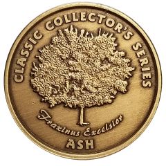 Token - Woodworker`s Journal Ash