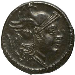 Quinarius Q 1, ROMA