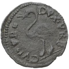 Quattrino - Guidobaldo I of Montefeltro Ostrich