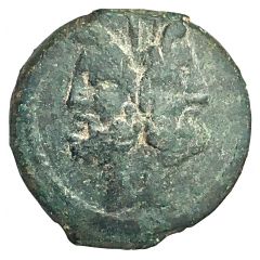 As D. Junius Silanus, D•SILANVS L•F
