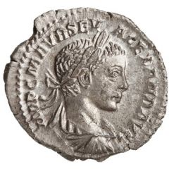Denarius - Severus Alexander P M TR P COS P P, Mars