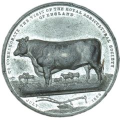 Medal - Victoria Royal Agricultural Society, white metal