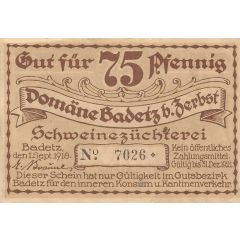 75 Pfennig