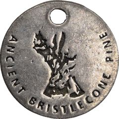 Medal - Ancient Bristlecone Pine