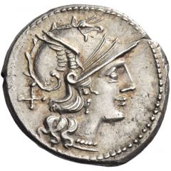 Denarius C. Scribonius, ROMA C•SCR