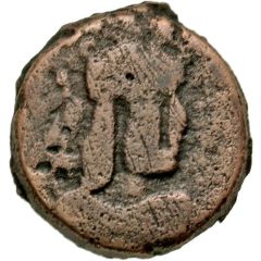 Unknown AE - Brawik Afrighid