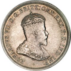 1 Florin - Edward VII