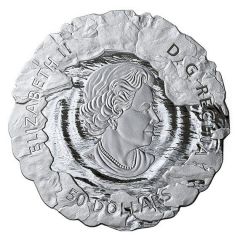 50 Dollars - Elizabeth II Polar Bear