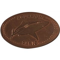 Aquarium Paris - requin blanc