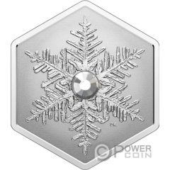 20 Dollars Snowflake