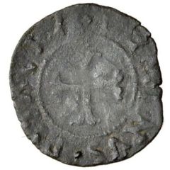 Picciolo - Costanzo Sforza Lion