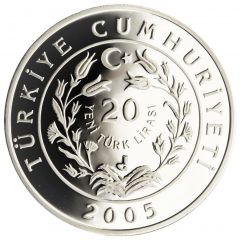 20 Yeni Lira Brown Bear