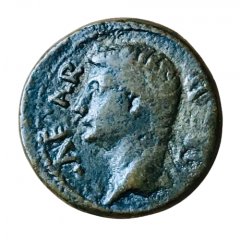 Æ20 - Caligula P VIPSANIO AGRIPPA IIVIR COR