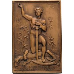 Propaganda new year's medal