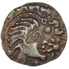 Silver Unit - Berkshire Crested Head