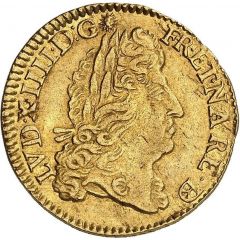 Gold Louis of Bearn with shield - Louis XIV