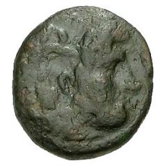 Chalkon - Seleukos I Antioch