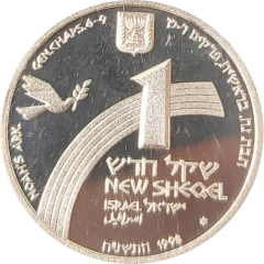 1 New Sheqel Noahs Ark
