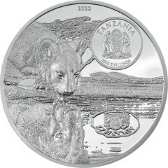 3000 Shillings Lions Growing Up