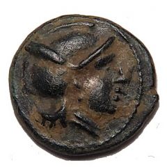 Trichalkon