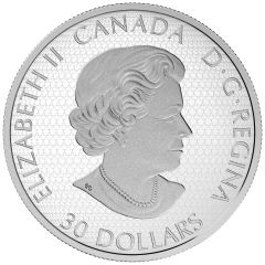30 Dollars - Elizabeth II Star Trek