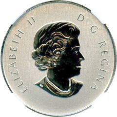 10 Dollars - Elizabeth II Year of the Snake