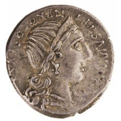 Denarius Annii: Gaius Annius Luscus, C•ANNIVS•T•F•T•N•PRO•COS•EX•S•C / XX Q C•TARQVITI•P•F
