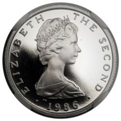 1 Pound - Elizabeth II Douglas - Machin Head, Platinum