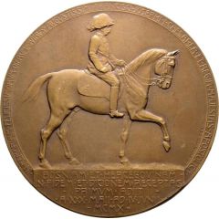 Medal - Franz Joseph I - First visit of the Emperor to Bosnia and Herzegovina after the annexation of these territories