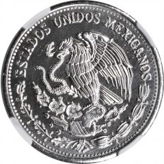 500 Pesos Pattern, Madero, Steel