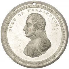 Medal - George III Duke of Wellington, white metal