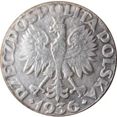 5 Zloty Pattern