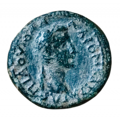 Æ17 - Caligula ΖΜΥΡΝΑΙWΝ ΜΗΝΟΦΑΝΗC, Smyrna