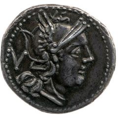 Quinarius Anonymous, ROMA