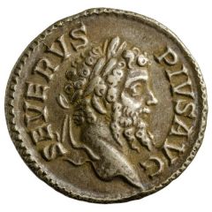 Denarius - Septimius Severus P M TR P XVII COS III P P