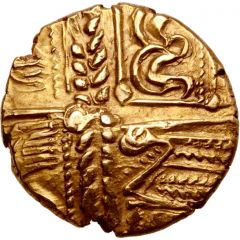 Stater `Rounded Wing`