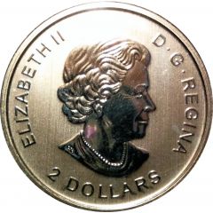 2 Dollars - Elizabeth II Calgary Stampede, 1/2 oz. Silver Bullion Coinage