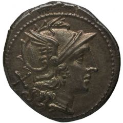 Denarius Star 1, ROMA