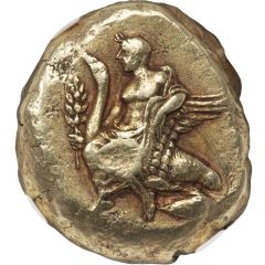 Stater